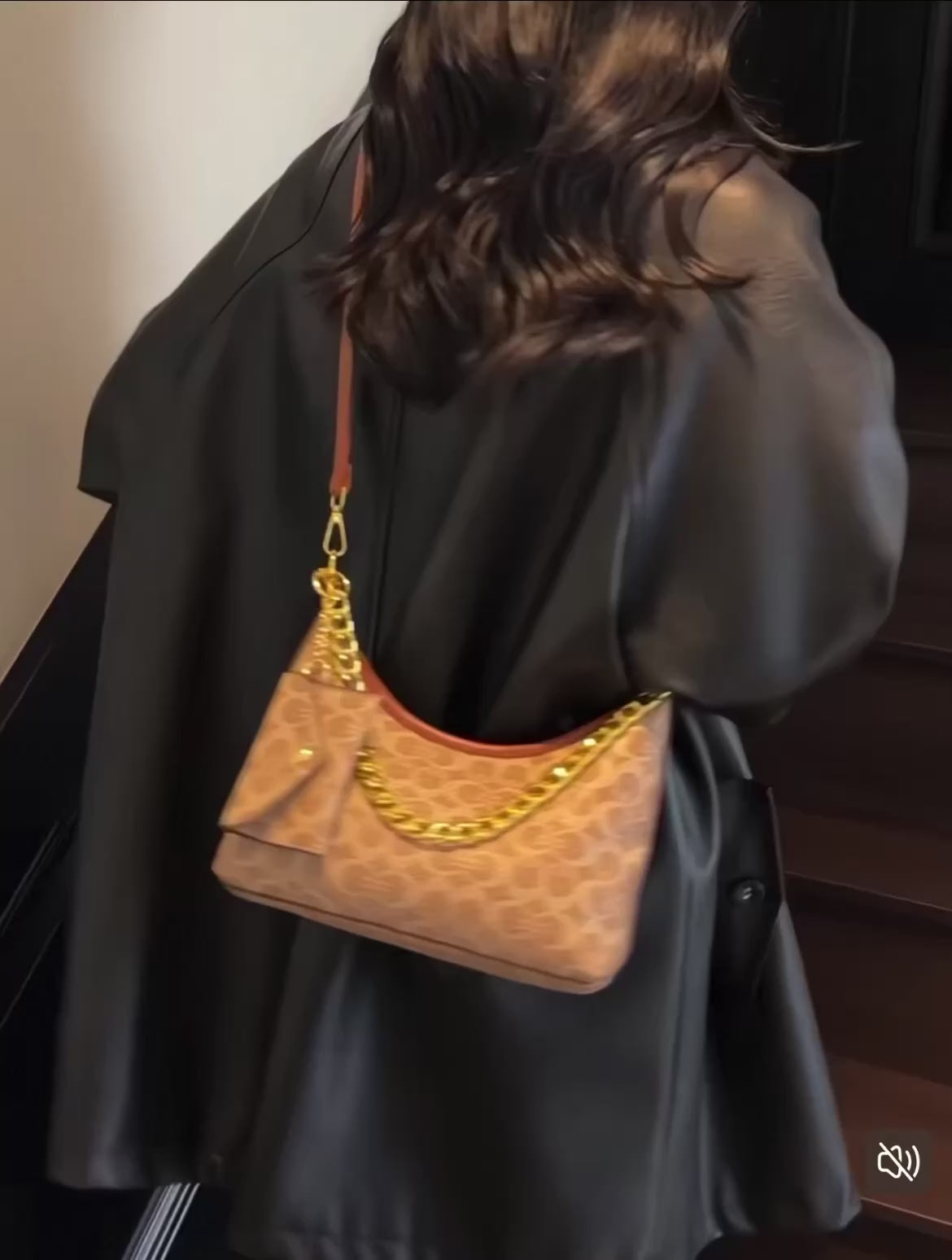 Louis Vuitton Hobo bag